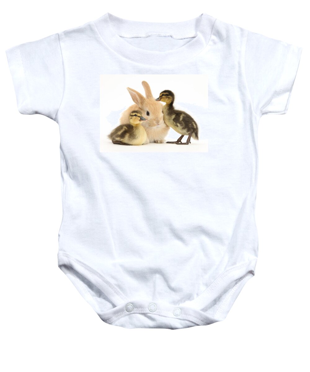 Animal Baby Onesie featuring the photograph Rabbit And Ducklings by Mark Taylor