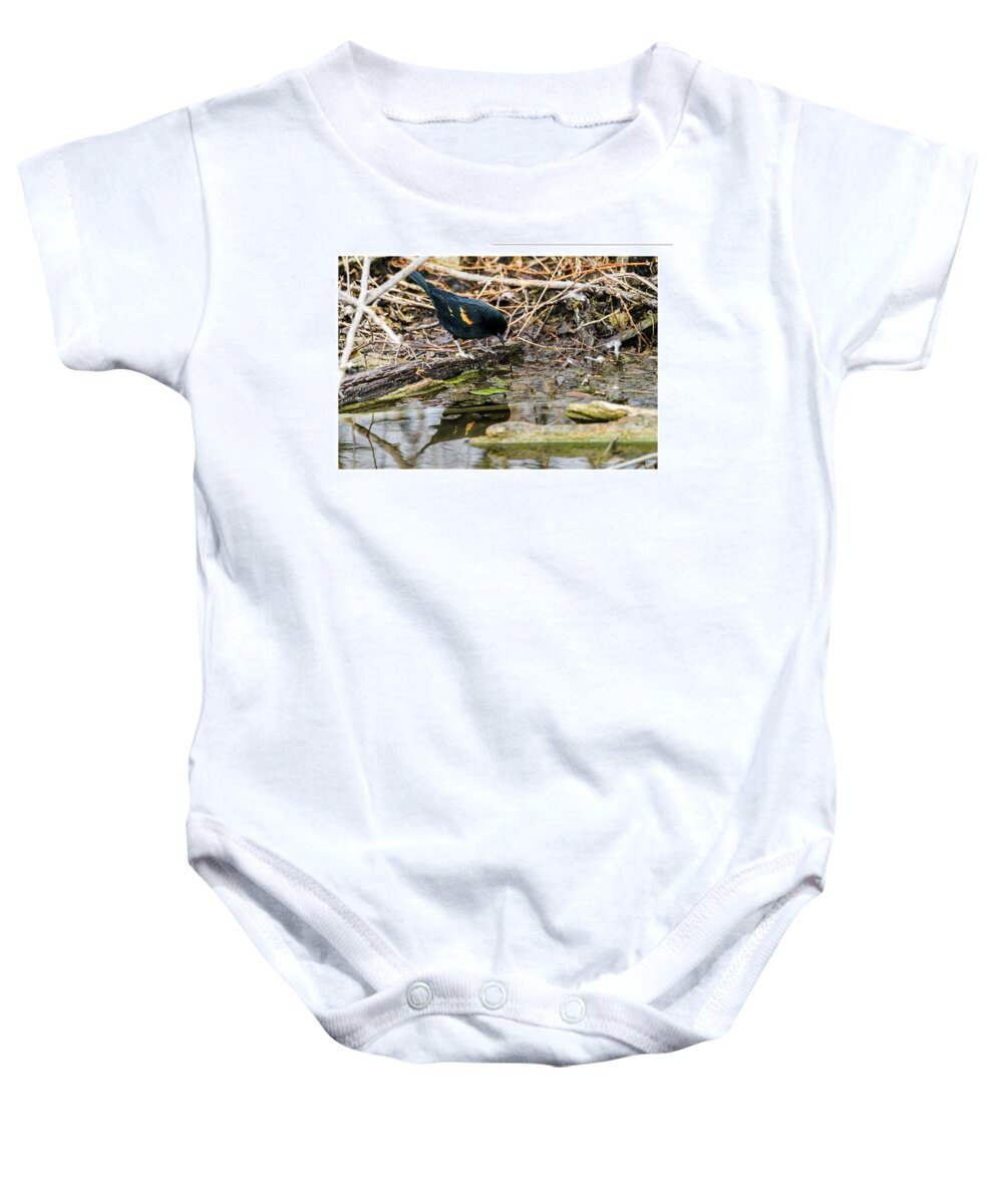 Heron Haven Baby Onesie featuring the photograph Red-winged Black Bird At The Water's Edge by Ed Peterson