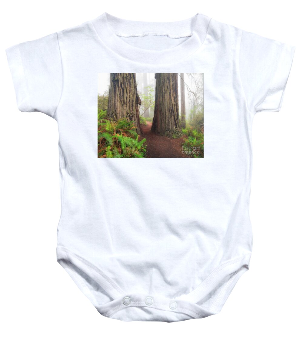 Redwood Baby Onesie featuring the photograph Redwood Trail by Anthony Michael Bonafede