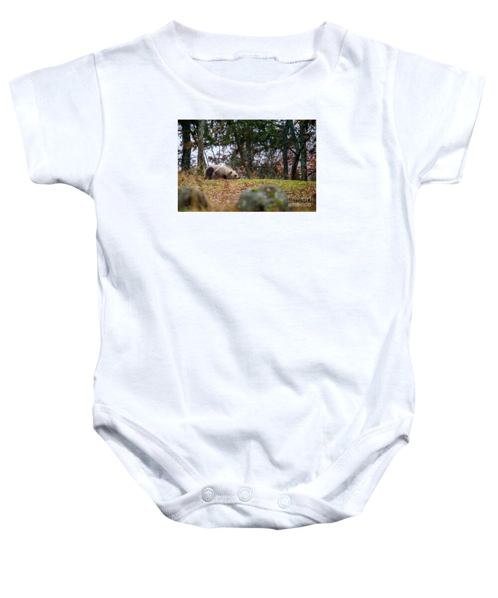 Bear Baby Onesie featuring the photograph Resting Bear by Torbjorn Swenelius