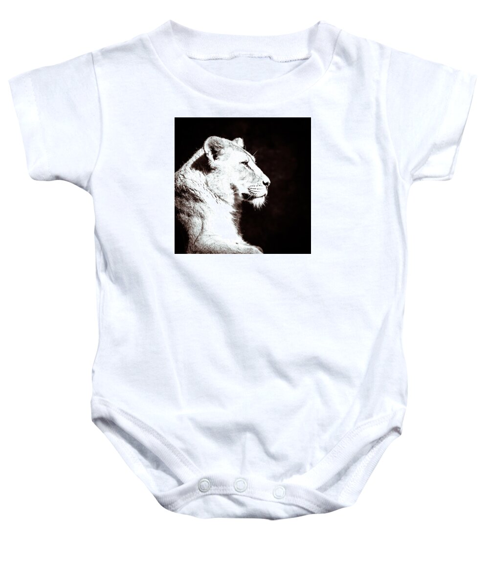 2013 Baby Onesie featuring the photograph Seeing Double II by Wade Brooks