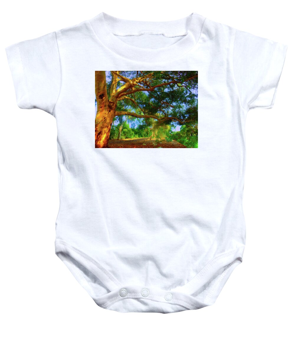 Forest Baby Onesie featuring the photograph Shady by Mark Blauhoefer