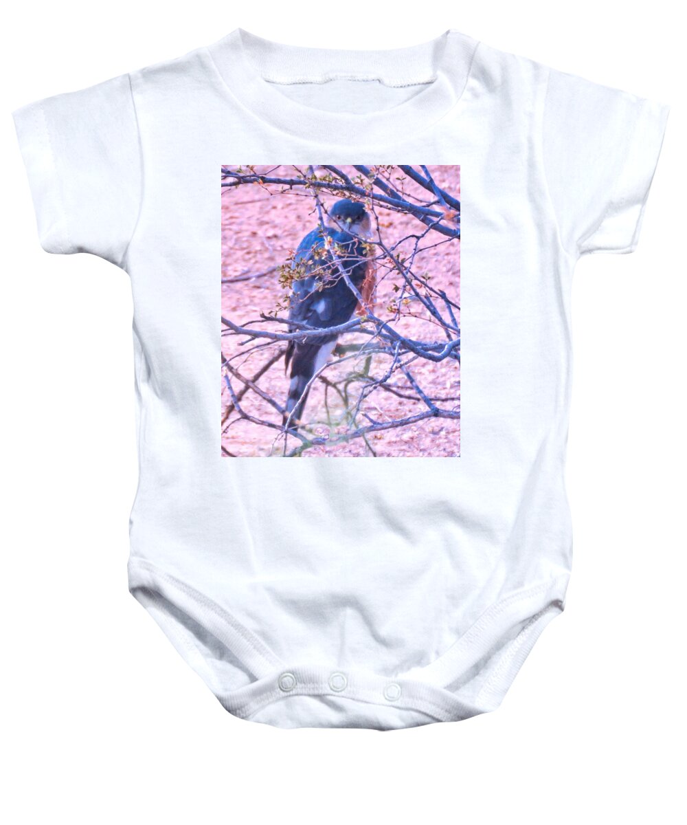 Accipiter Baby Onesie featuring the photograph Sharp-Shinned Hawk Hunting in the Desert 2 by Judy Kennedy