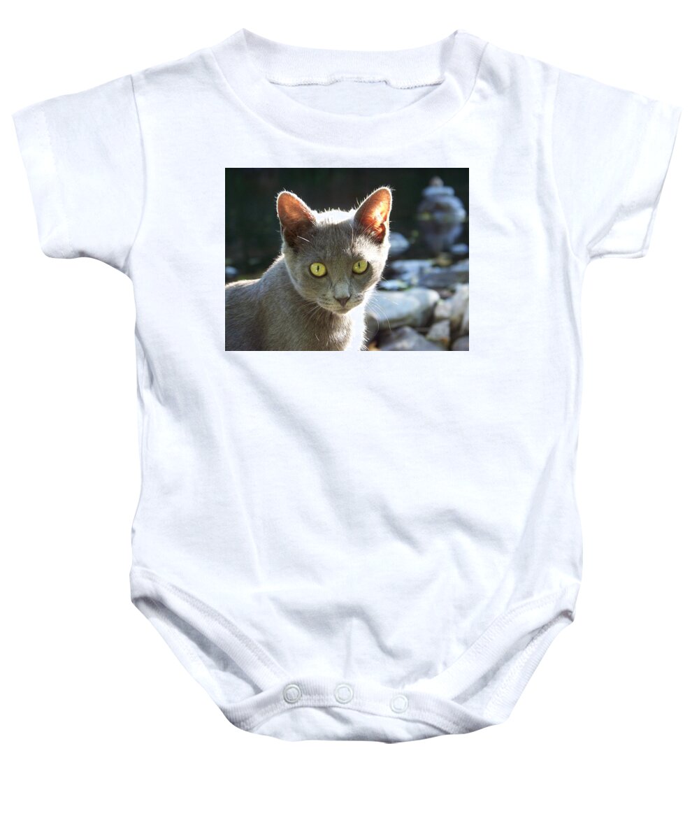 Cat Baby Onesie featuring the photograph Silver by Julie Rauscher