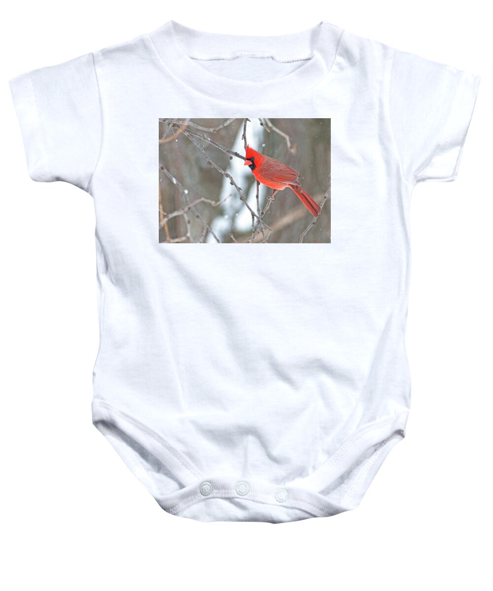 March Baby Onesie featuring the photograph Snowy Cardinal by Jim Zablotny