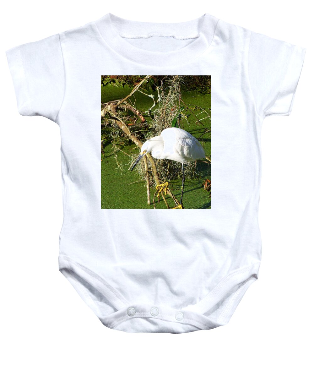 Egret Baby Onesie featuring the photograph Snowy Egret 003 by Christopher Mercer