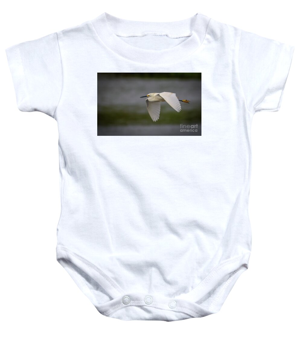 Egret Baby Onesie featuring the photograph Snowy Egret Fly-By by Tom Claud