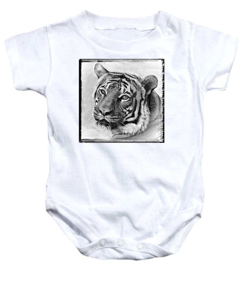 Tigers Baby Onesie featuring the photograph Sometimes Less Is More by Elaine Malott