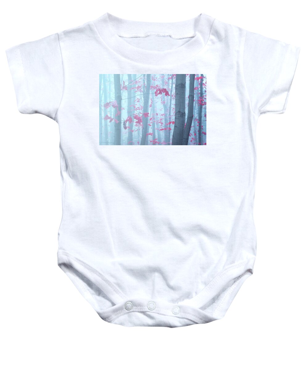 Jenny Rainbow Fine Art Photography Baby Onesie featuring the photograph Splashes of Autumn Colors 1 by Jenny Rainbow