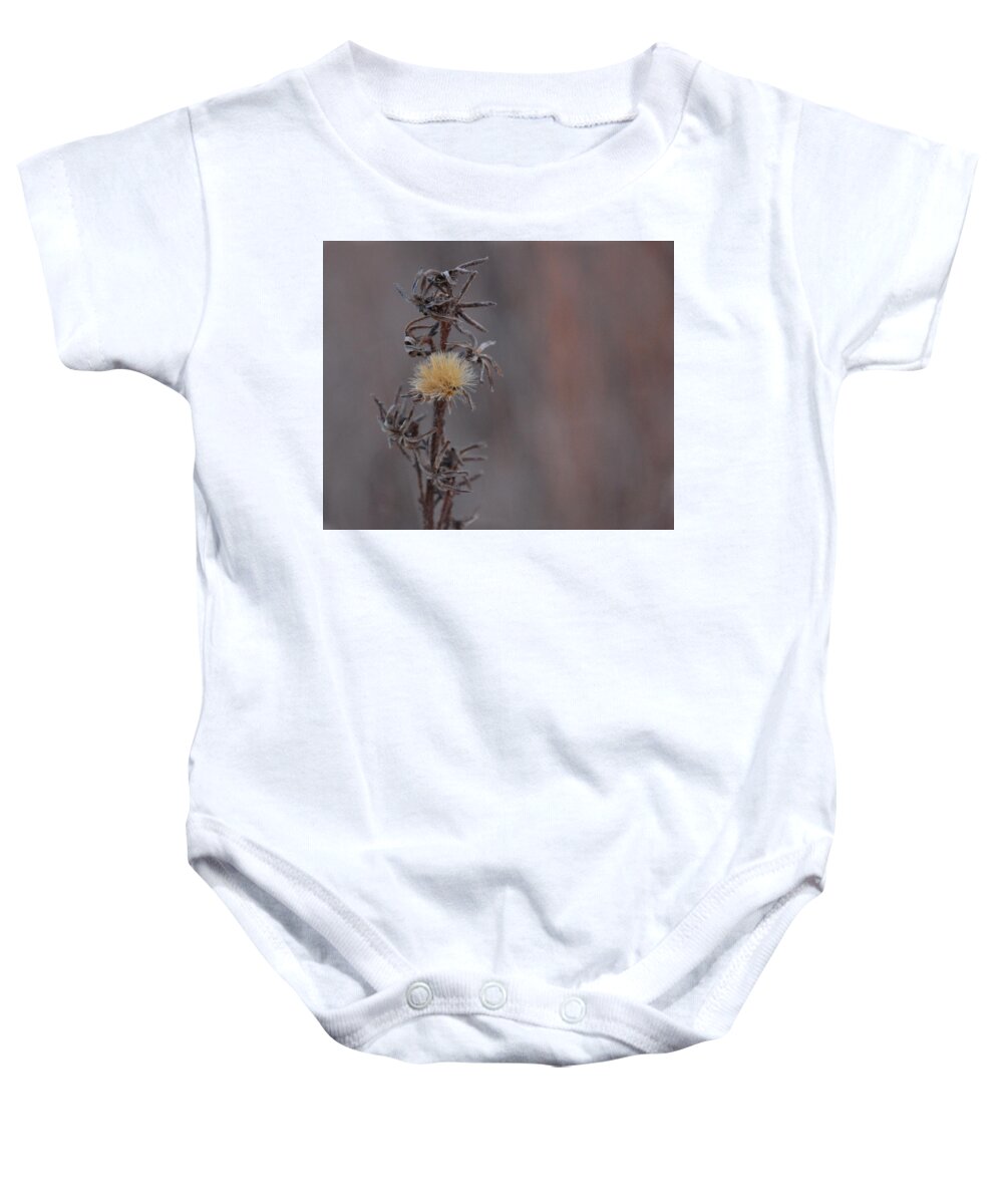 Flower Baby Onesie featuring the photograph Spyhov Bloom by Thomas Gorman