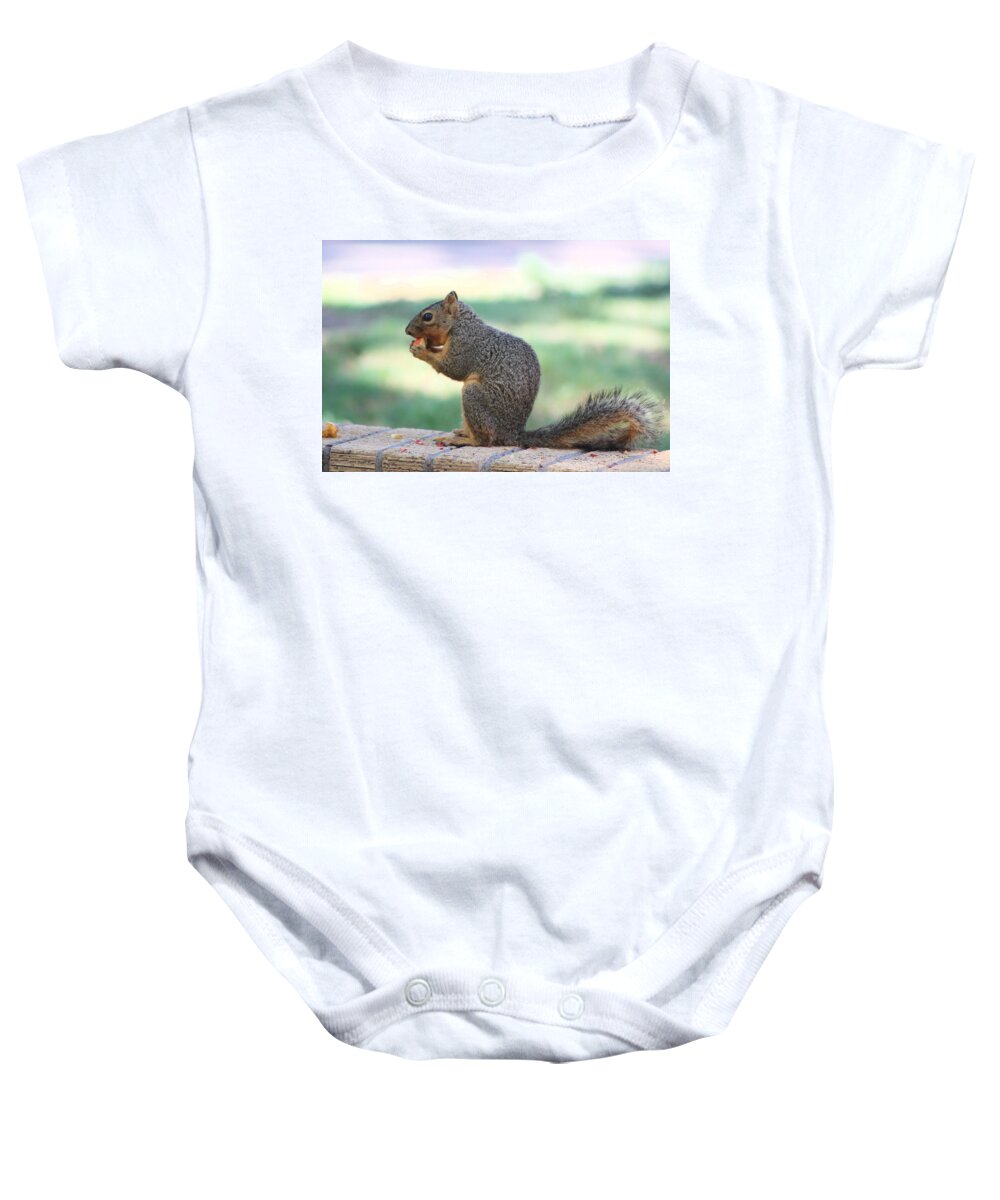 Squirrel Baby Onesie featuring the photograph Squirrel Eating Crab Apple by Colleen Cornelius