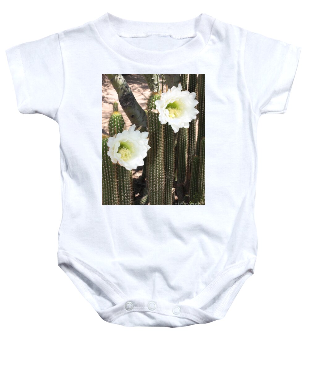 Arizona Baby Onesie featuring the photograph Stand Tall Desert Flowers by Carol Groenen