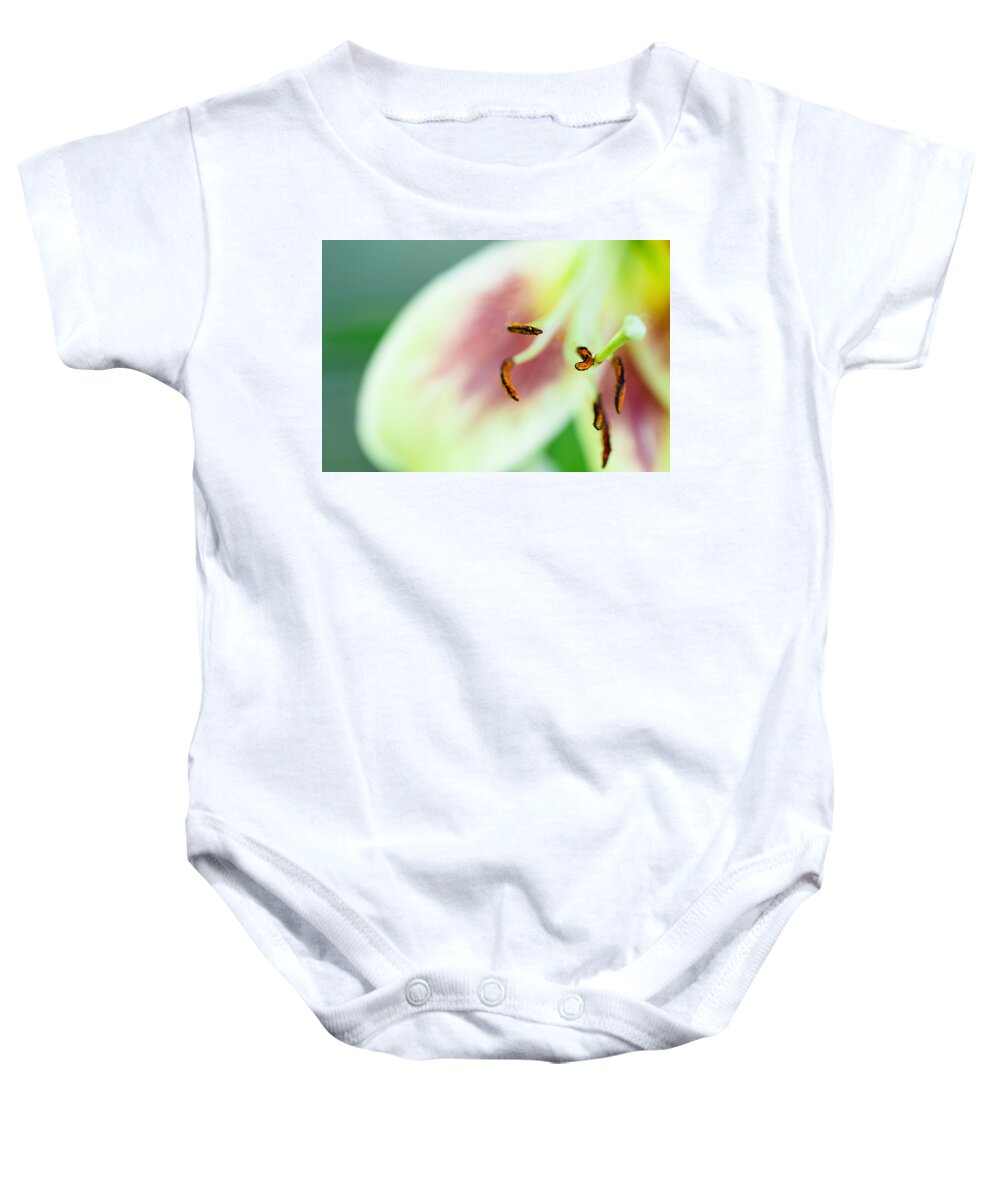 Wall Art Baby Onesie featuring the photograph Stargazer Lily by Marlo Horne