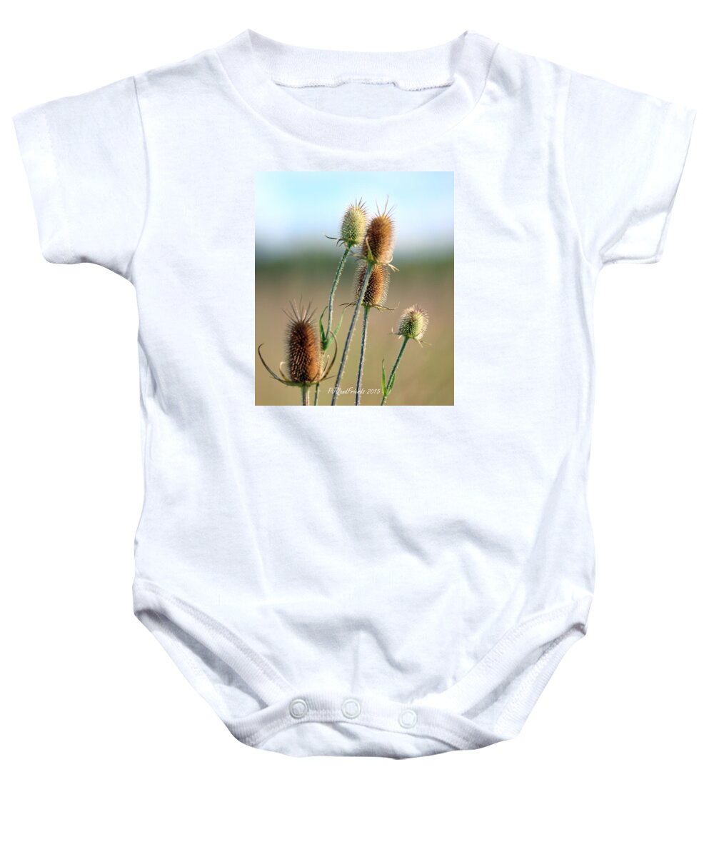 Summer Thistle Baby Onesie featuring the photograph Summer Thistle by PJQandFriends Photography