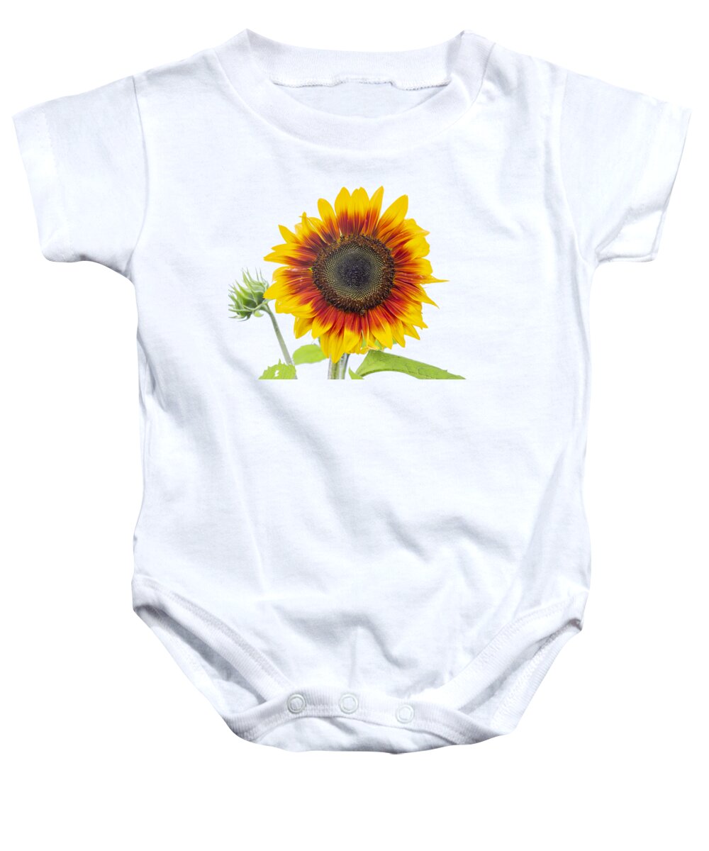 Sunflower Baby Onesie featuring the photograph Sunflower 2018-1 by Thomas Young