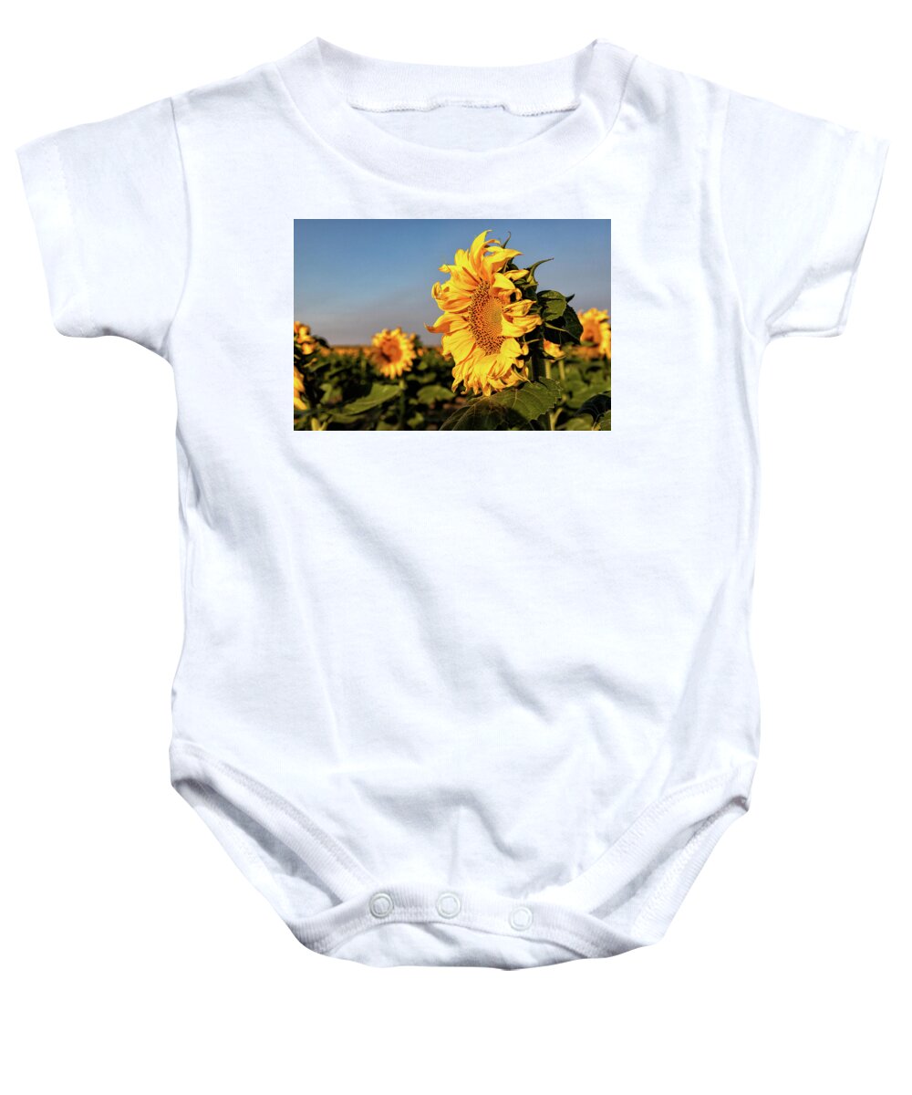 Sunflower Baby Onesie featuring the photograph Sunflowers on the Colorado Plains by Tony Hake