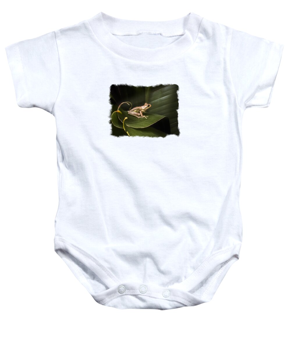 Frog Baby Onesie featuring the photograph Surfing the Wave Bordered by Debra and Dave Vanderlaan