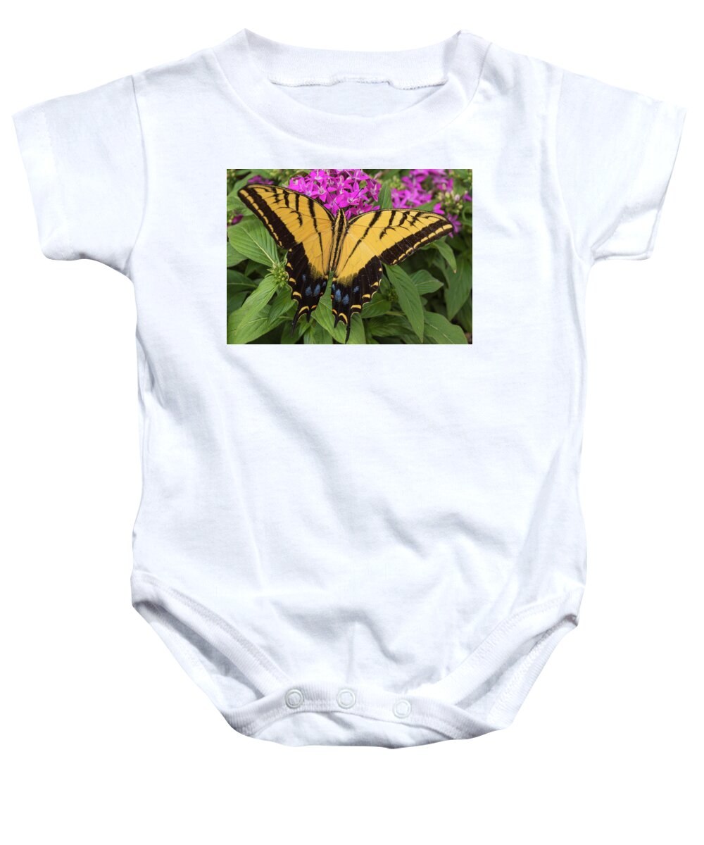Swallowtail Baby Onesie featuring the photograph Swallowtail by Laura Pratt