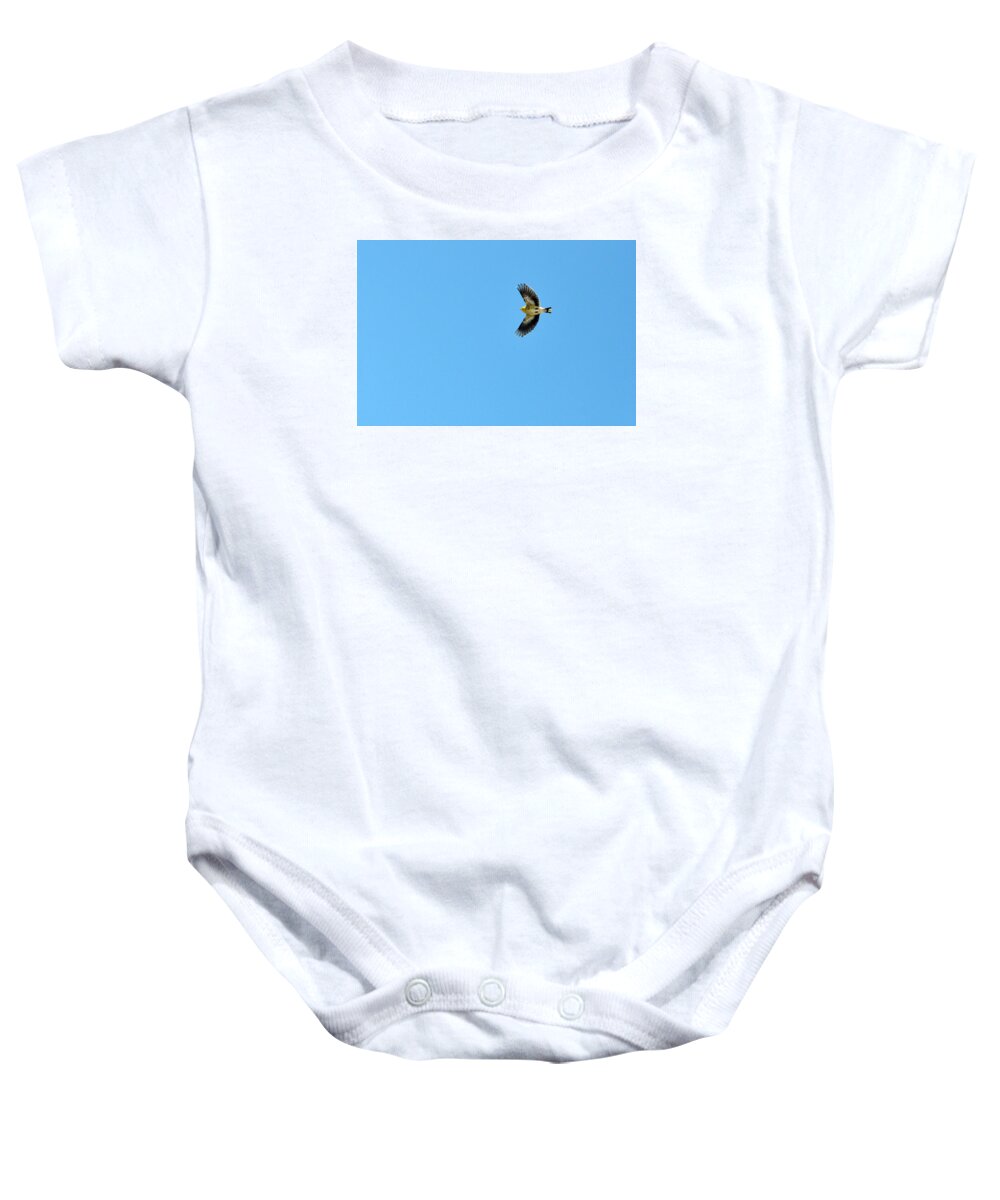 American Goldfinch Baby Onesie featuring the photograph The American Goldfinch in-flight by Asbed Iskedjian