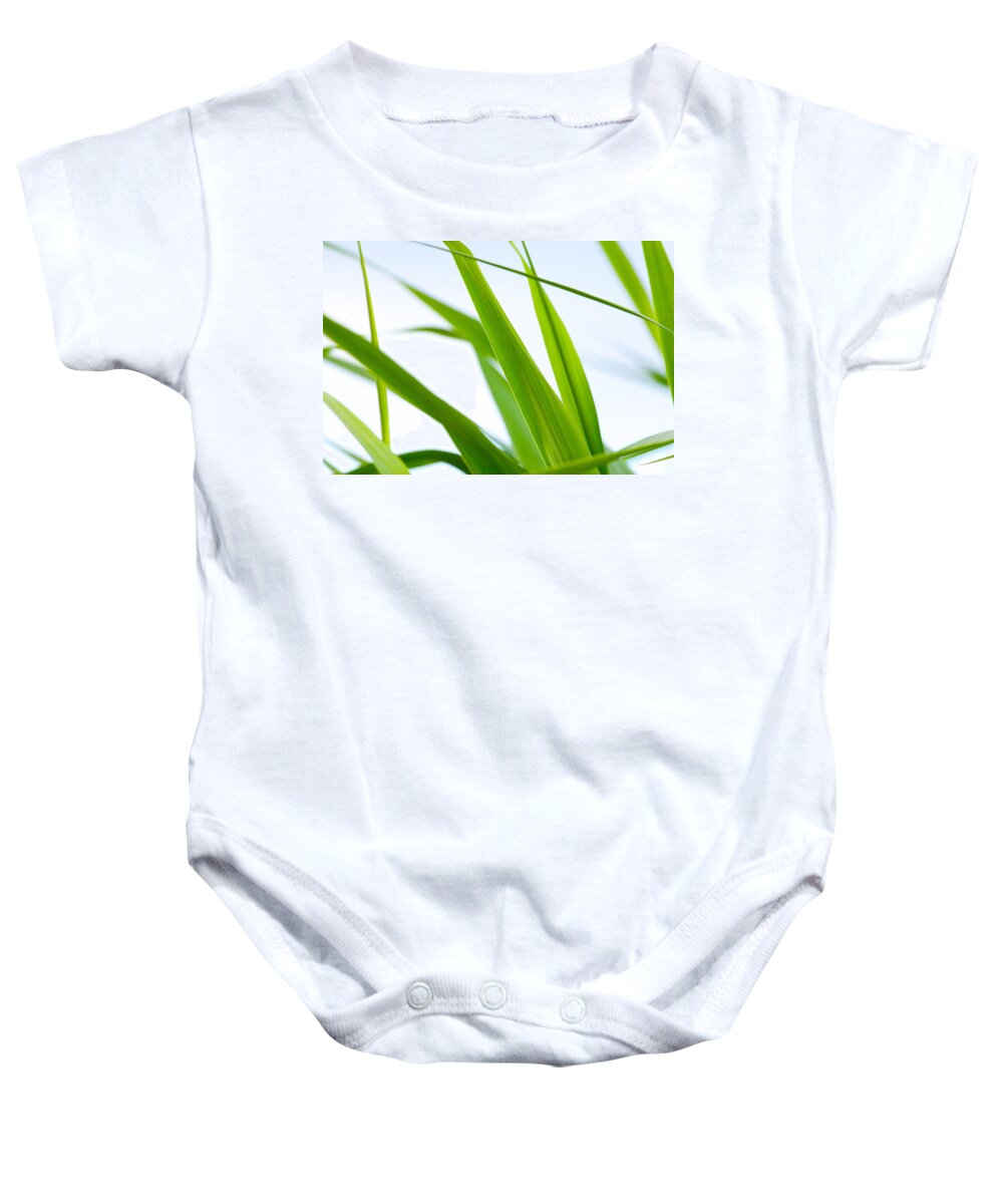 Steven Green Photography Baby Onesie featuring the photograph The Cane by SR Green