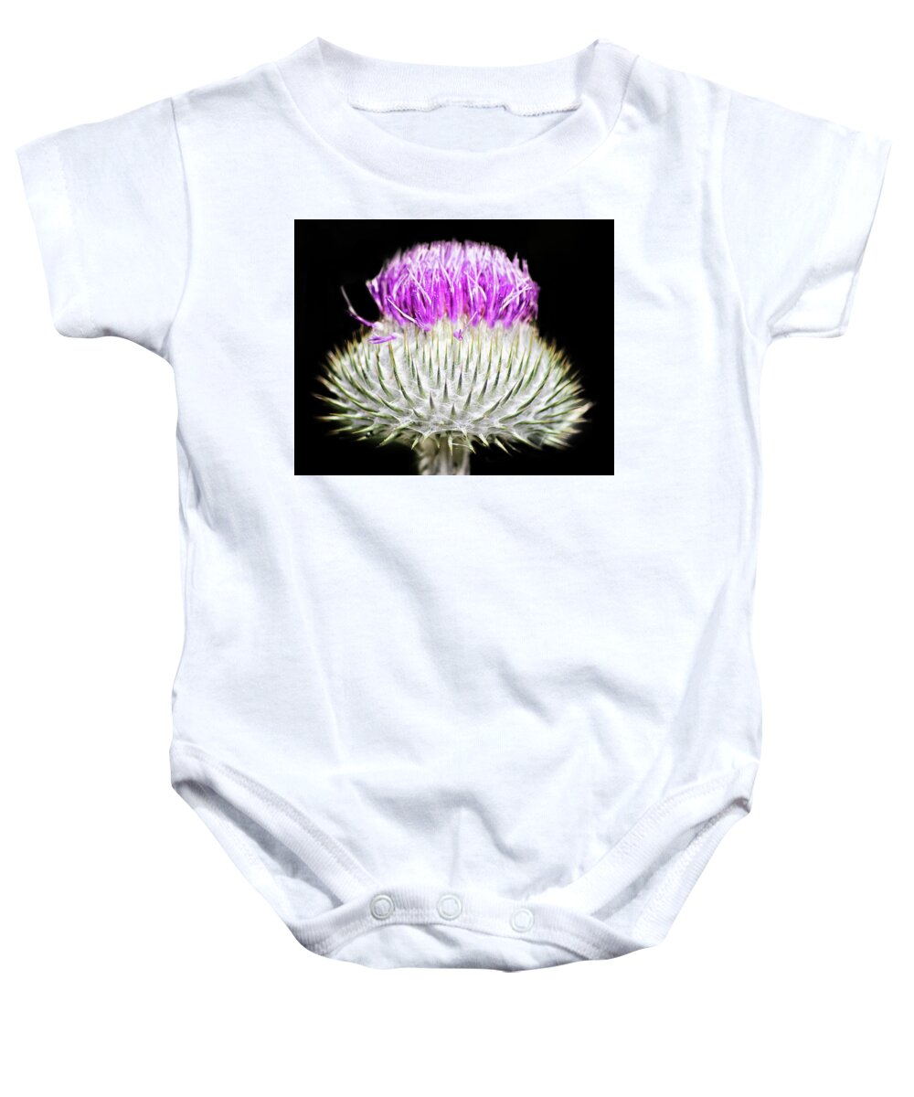 Scotland Baby Onesie featuring the photograph The Flower Of Scotland by Martin Newman
