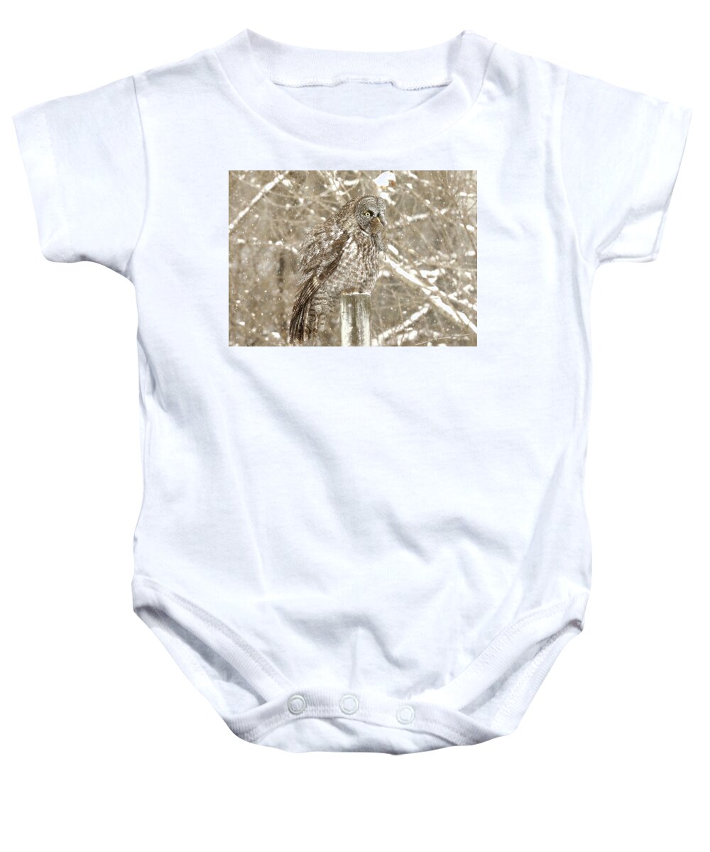 Owl Baby Onesie featuring the photograph The Owl and the Vole by Duane Cross