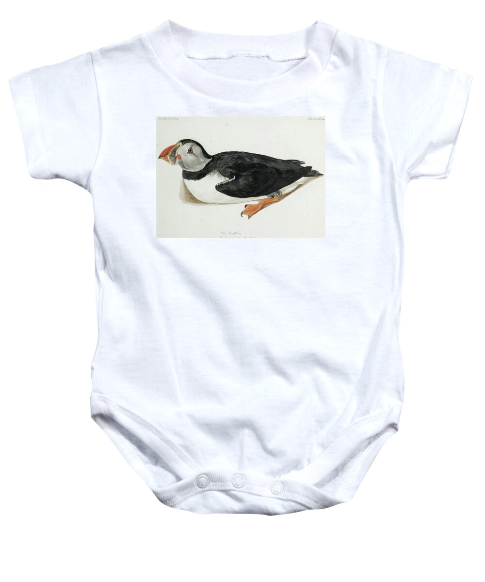Jemima Blackburn Baby Onesie featuring the drawing The Puffin. Fratercula Arctica by Jemima Blackburn