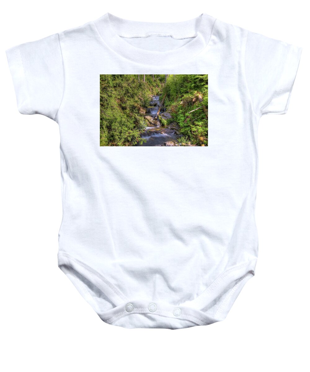 Grass Baby Onesie featuring the photograph The Quinault Stream 2 by Richard J Cassato
