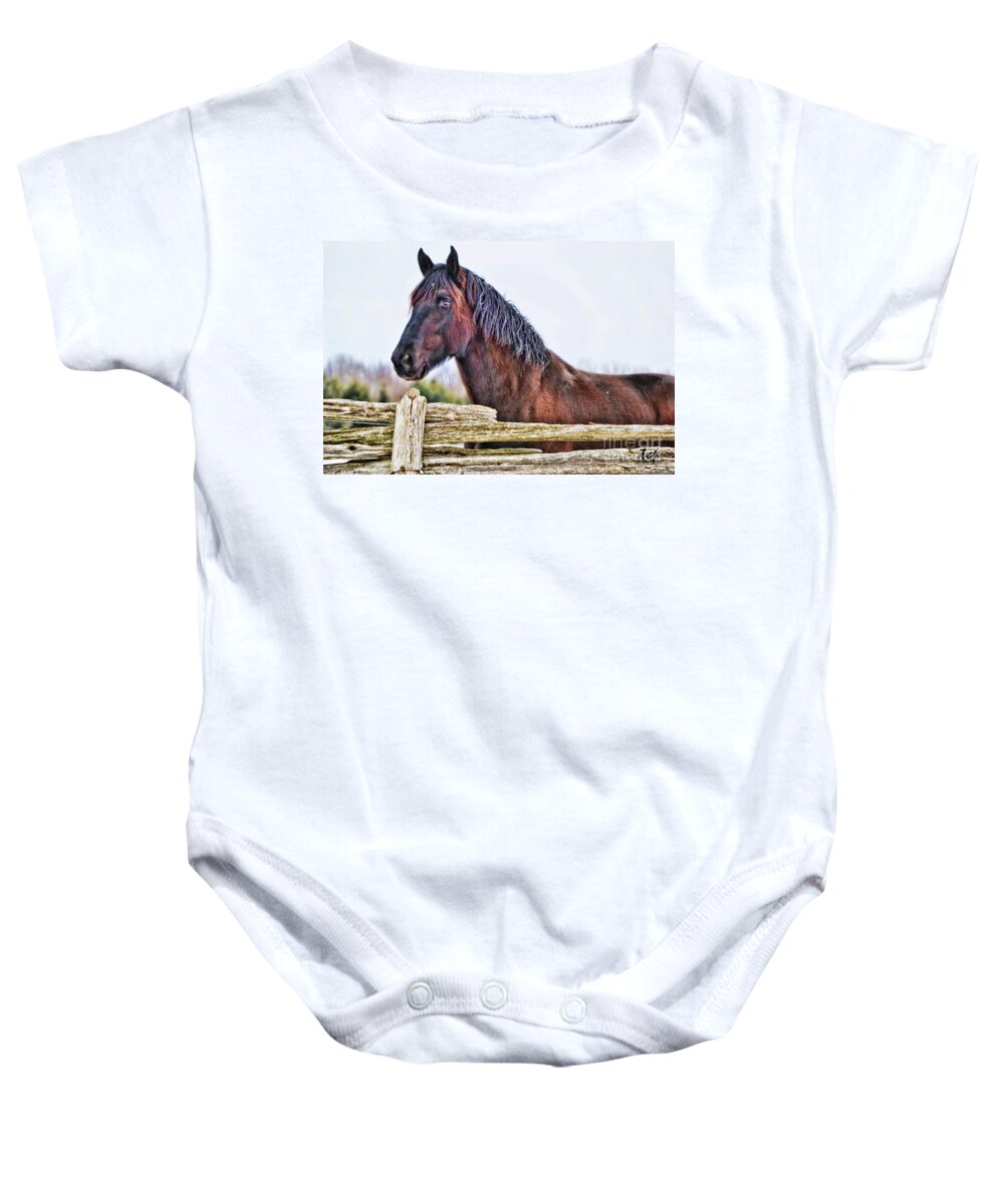 Horse Baby Onesie featuring the photograph The Watcher by Traci Cottingham