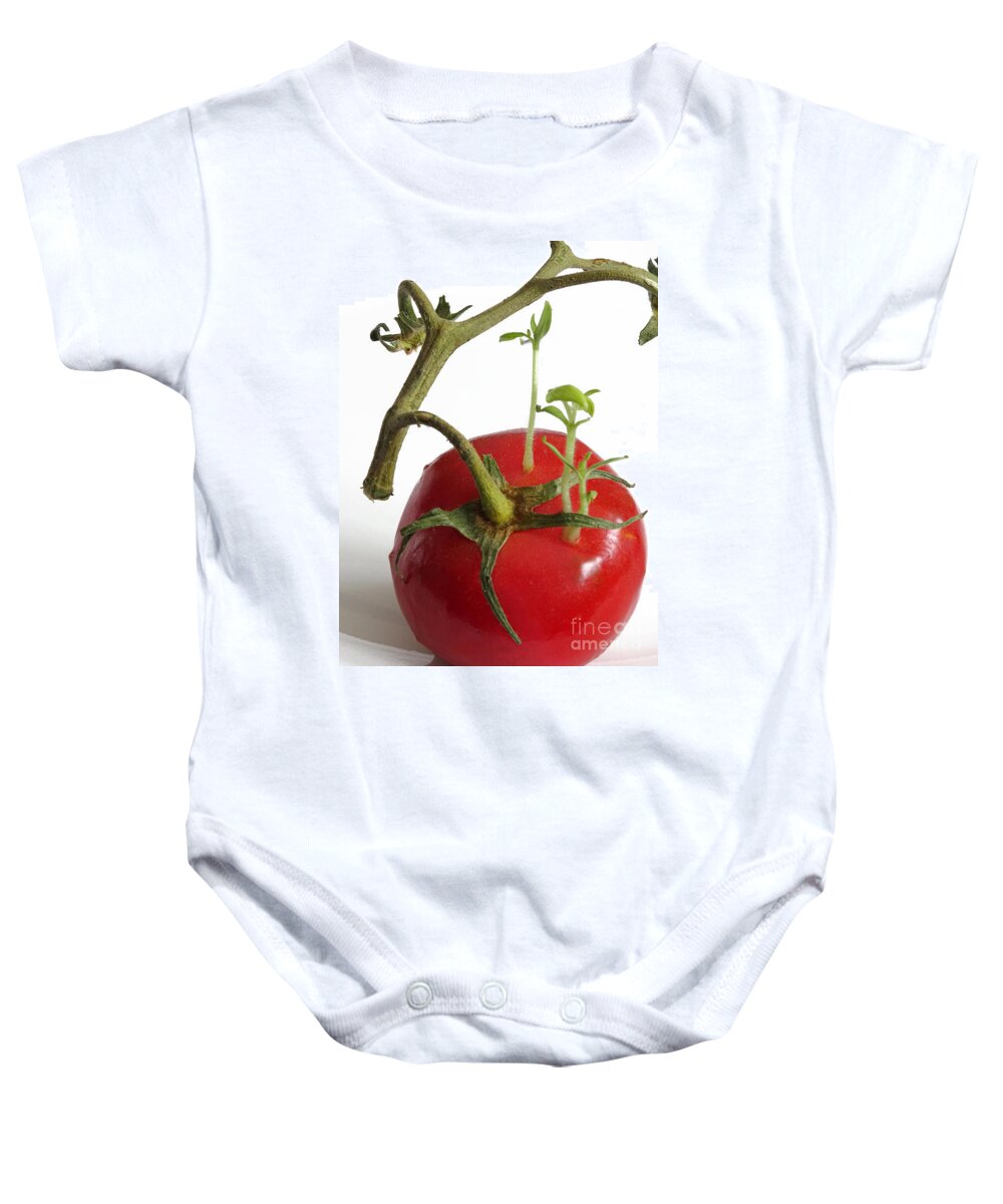 Tomato Baby Onesie featuring the photograph Tomato Seedlings Sprouting by Scimat
