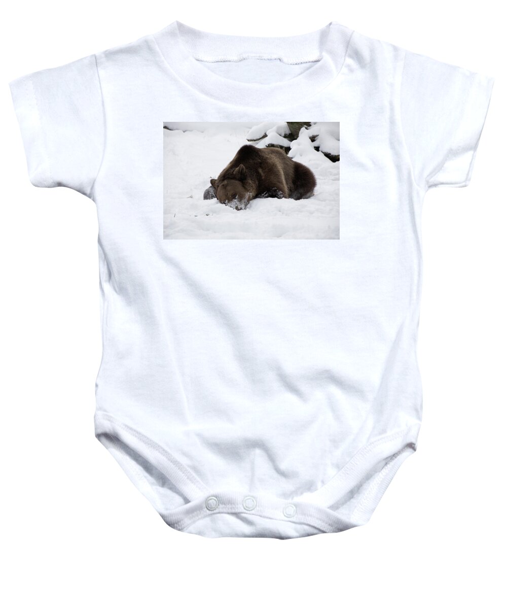 Bruno Baby Onesie featuring the photograph Too Pooped to Play by Teresa Wilson