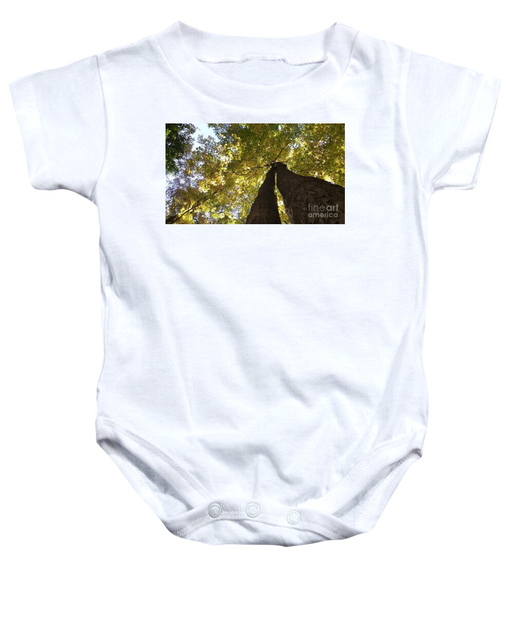Tree Embrace Baby Onesie featuring the photograph Tree Embrace by Paddy Shaffer