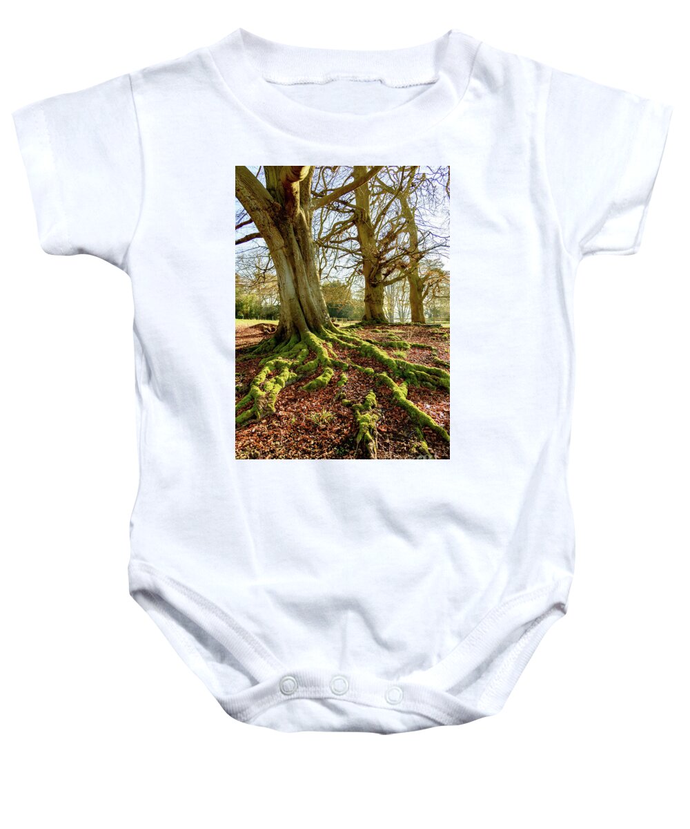 Tyntsfield Baby Onesie featuring the photograph Tree roots and moss by Colin Rayner