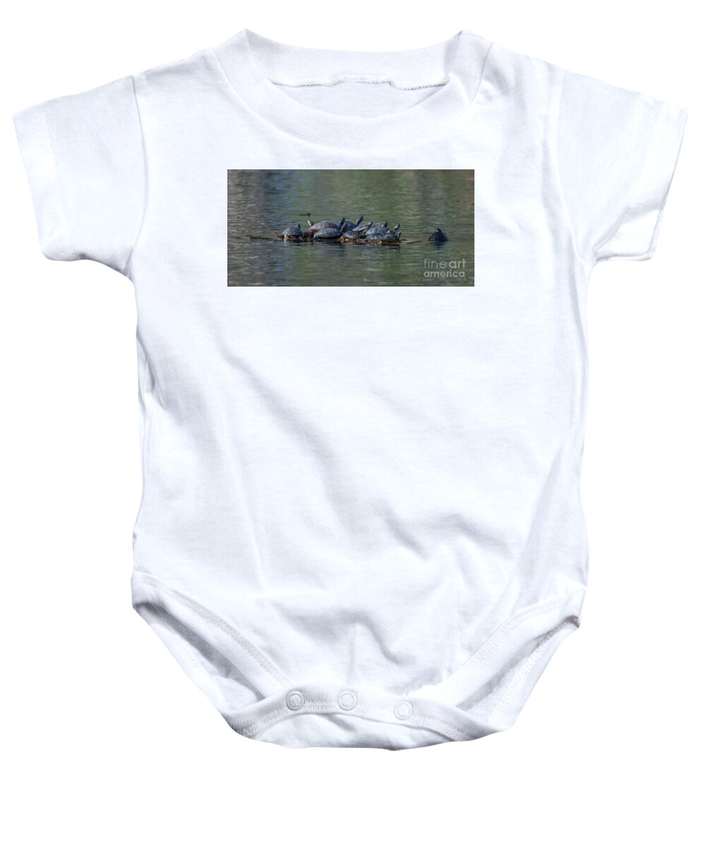 Turtle Baby Onesie featuring the photograph Turtle Hang Out by Dale Powell