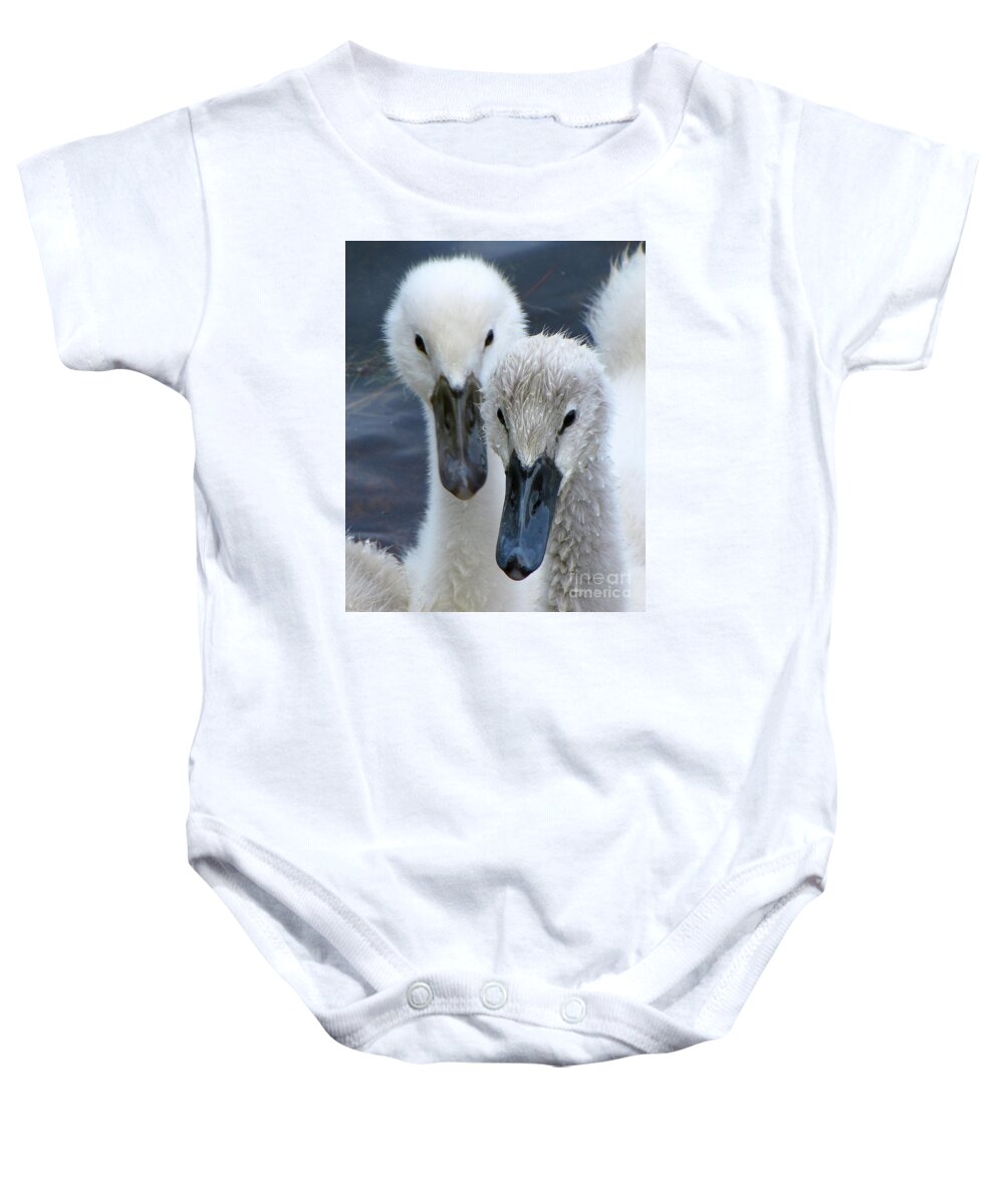Swans Baby Onesie featuring the photograph Twin Cuteness by Lori Lafargue