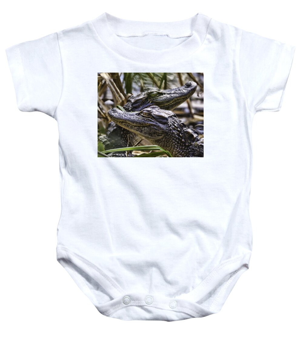 Alligators Baby Onesie featuring the photograph Two Heads Are Better Than One by Joe Granita