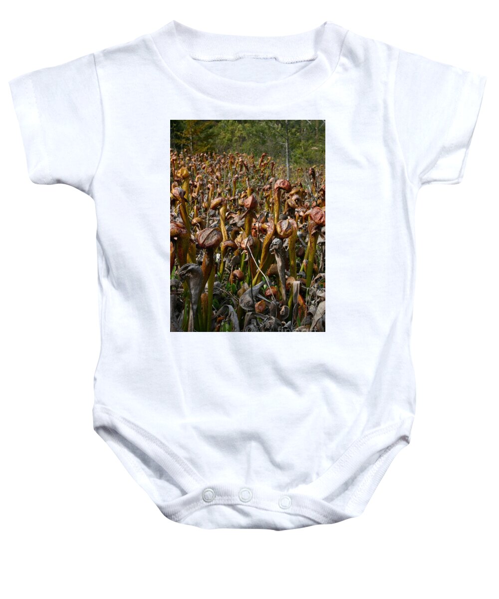 Valley Baby Onesie featuring the photograph Valley of the Cobras by Marie Neder