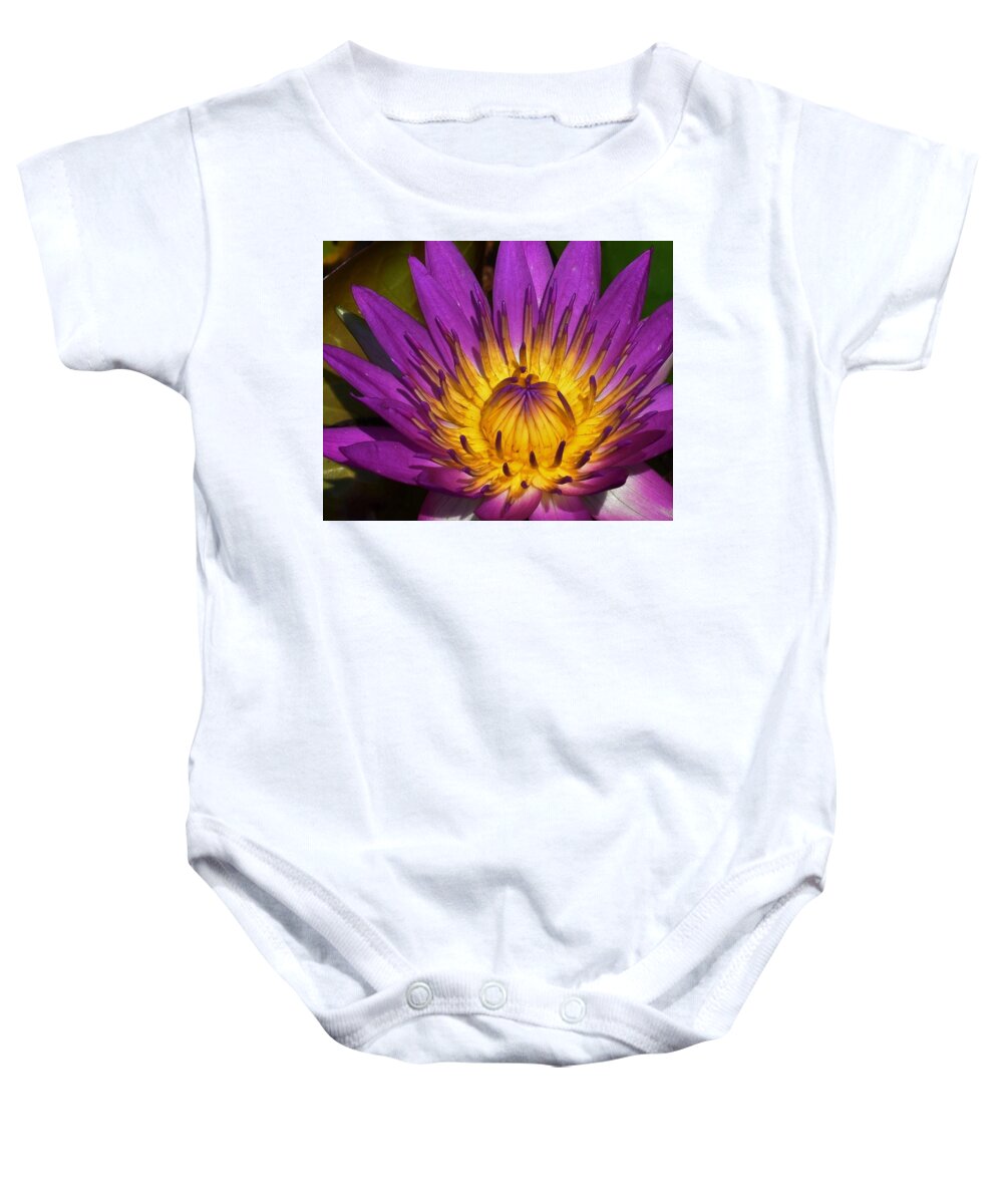 Water Lily Baby Onesie featuring the photograph Water Lily Macro by Chip Gilbert