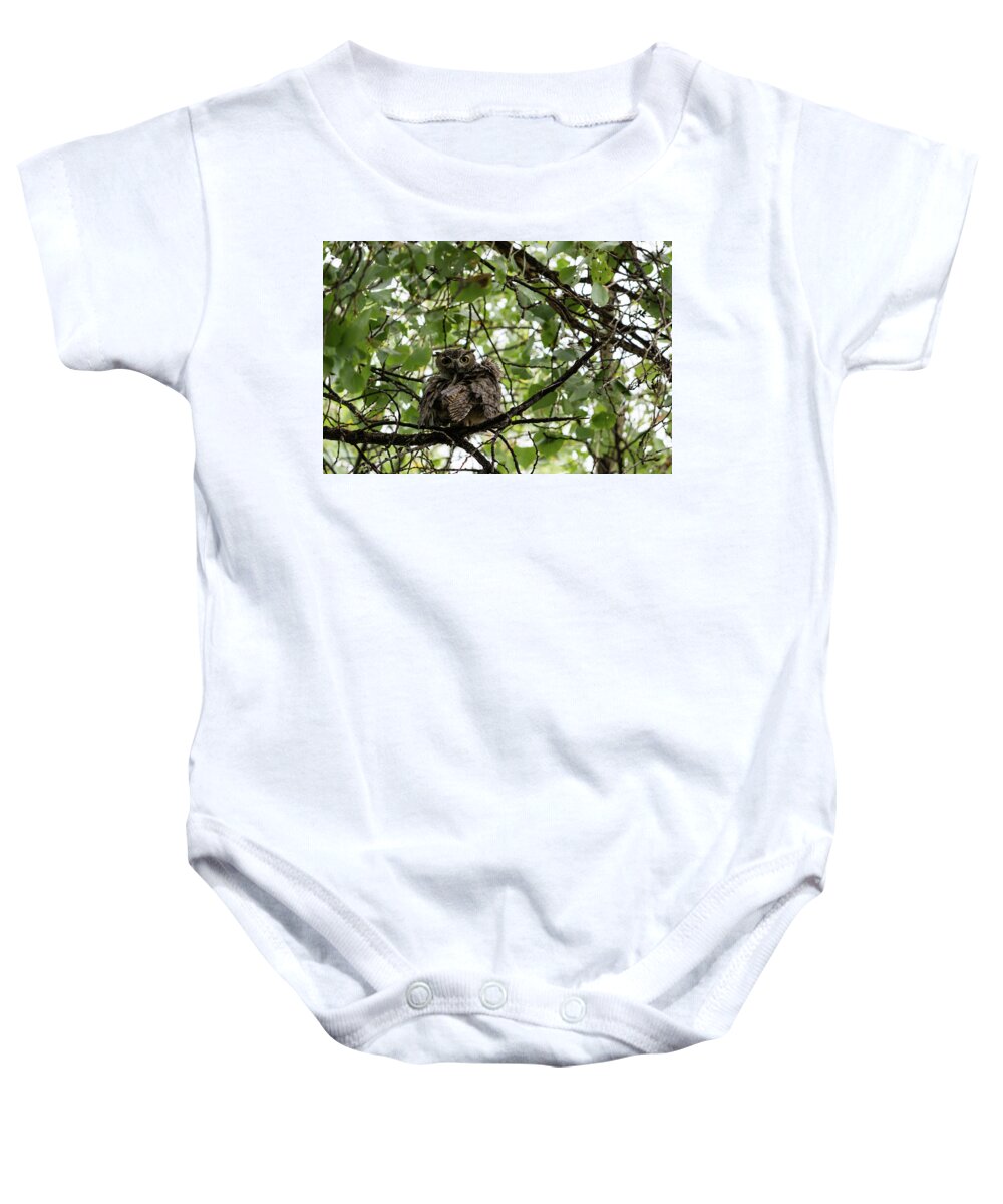 Great Baby Onesie featuring the photograph Wet Owl - Wide View by Douglas Killourie