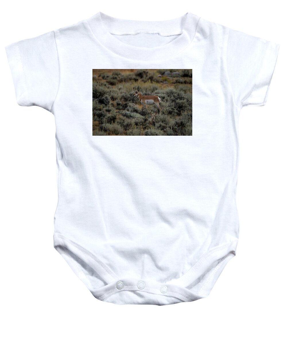 Antelope Baby Onesie featuring the photograph Where the Antelope Play by Laddie Halupa