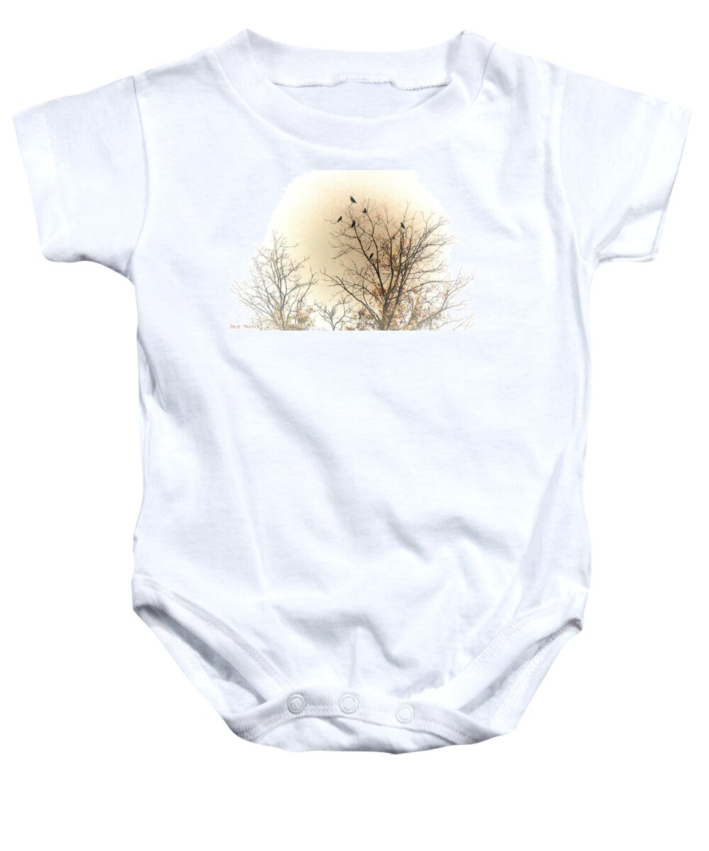 Birds Baby Onesie featuring the photograph Where to go from here... by Bonnie Willis