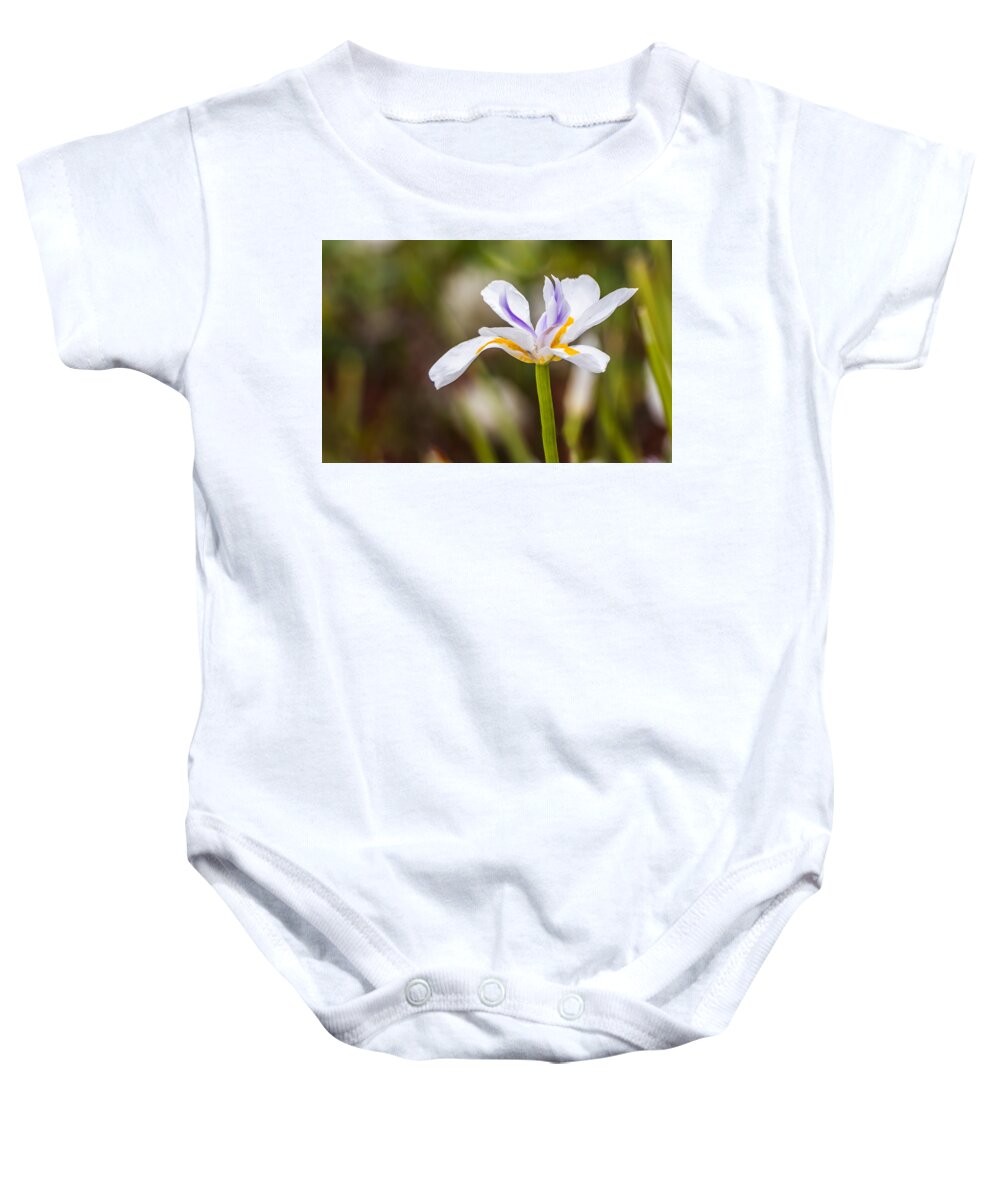 Iris Baby Onesie featuring the photograph White Beardless Iris by Ed Clark