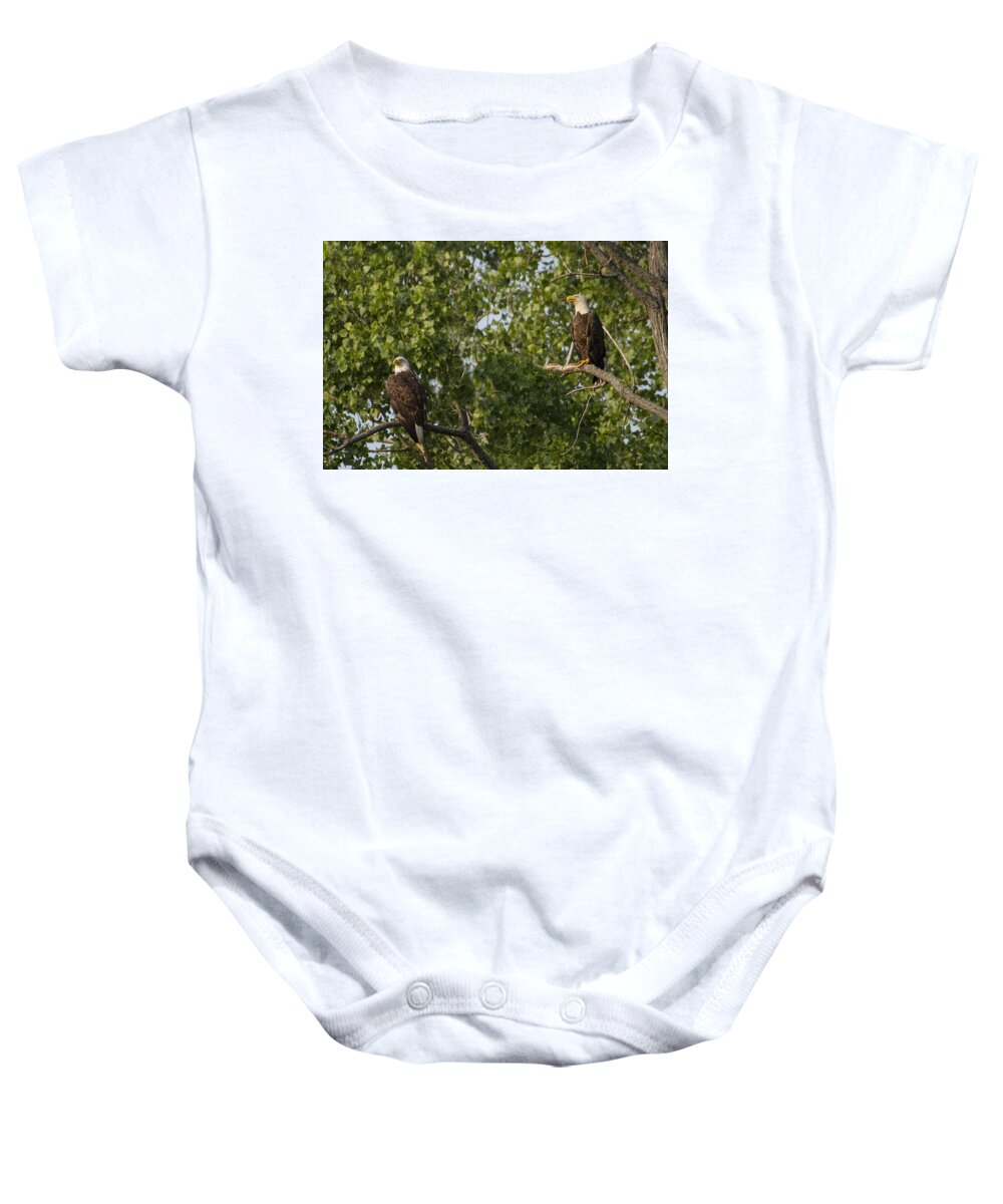 Bird Baby Onesie featuring the photograph Who's Bald? by Suanne Forster