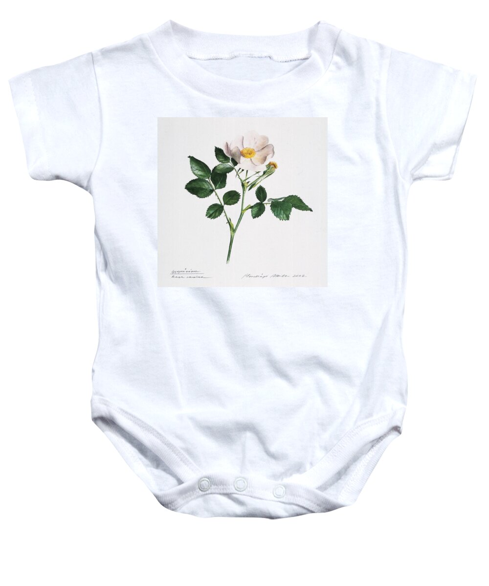 Dog Rose Baby Onesie featuring the painting Wild Rose by Attila Meszlenyi
