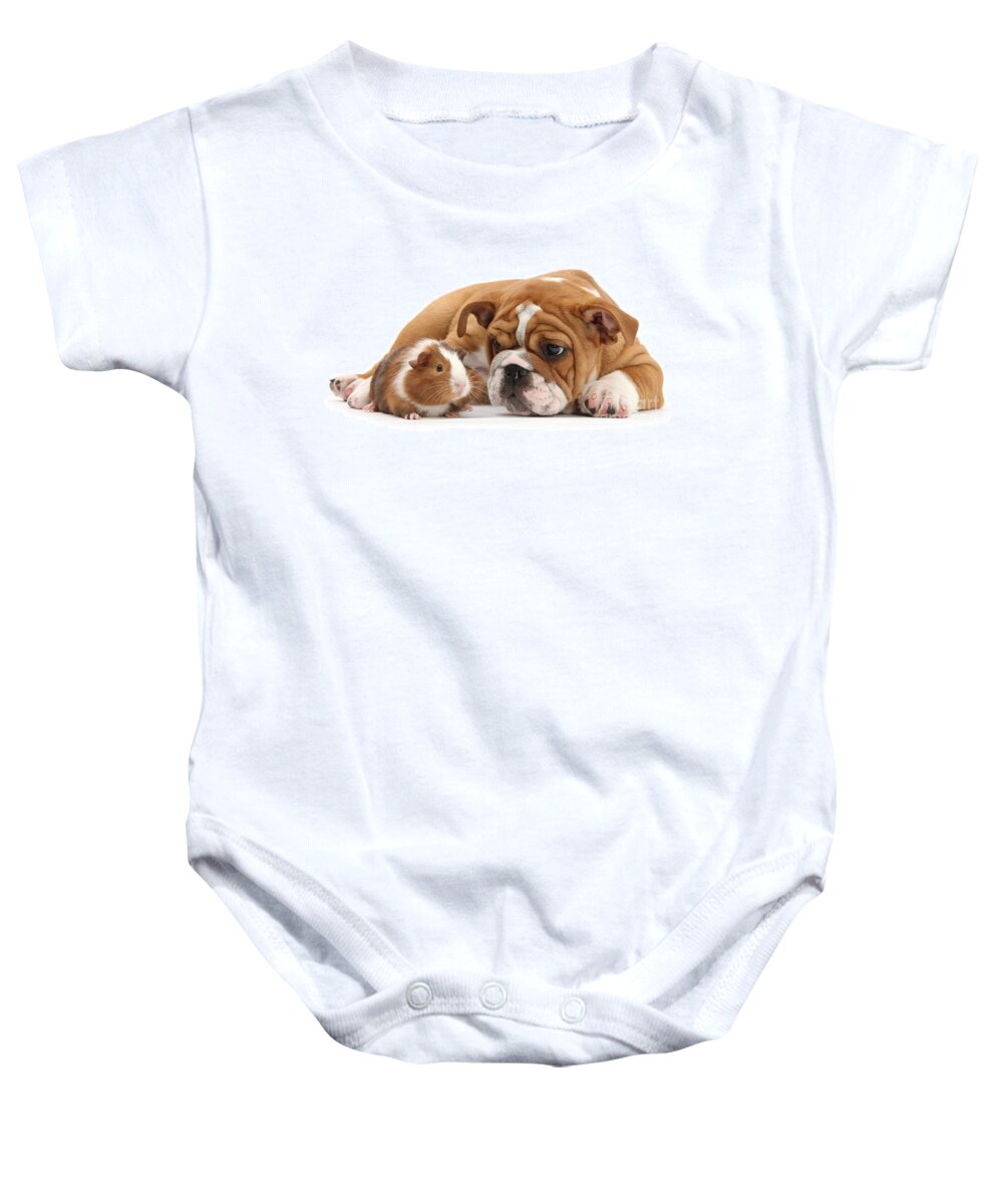 Guinea Pig Baby Onesie featuring the photograph Will you be my Friend? by Warren Photographic