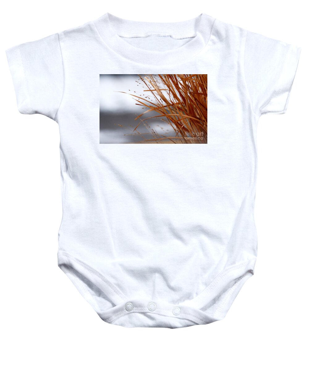 Grass Baby Onesie featuring the photograph Winter Grass - 2 by Linda Shafer