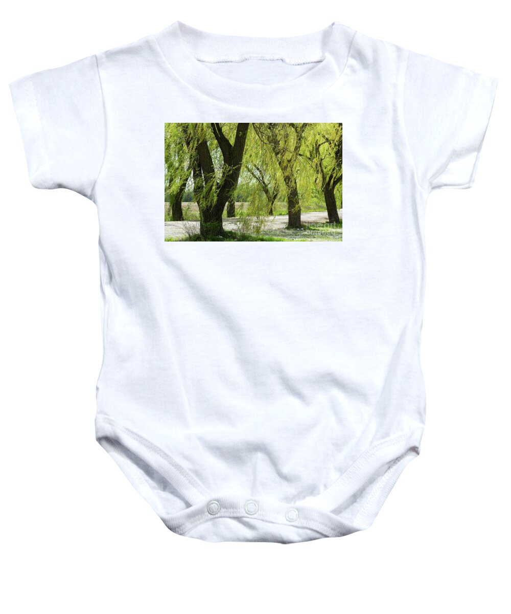 Willow Baby Onesie featuring the photograph Wispy Willows-1 by Steve Somerville