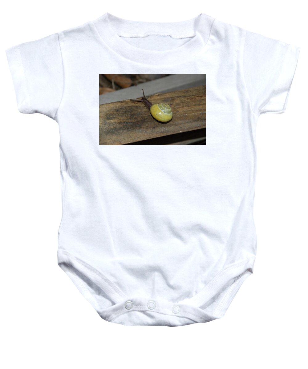 Yellow- Tailed Snail Baby Onesie featuring the photograph Yellow Snail by Ee Photography