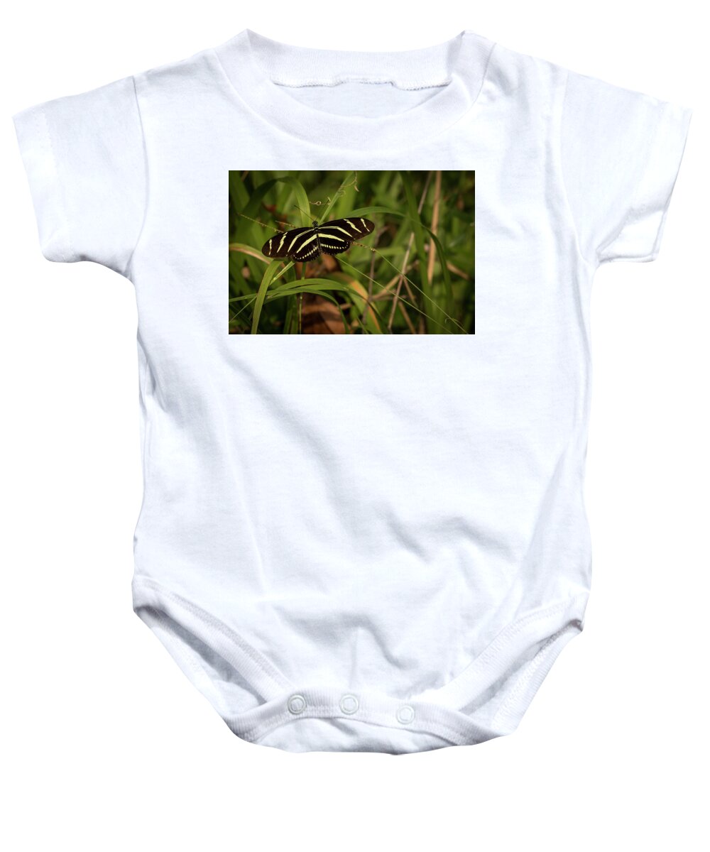 Swr Baby Onesie featuring the photograph Zebra Longwing by Ray Silva