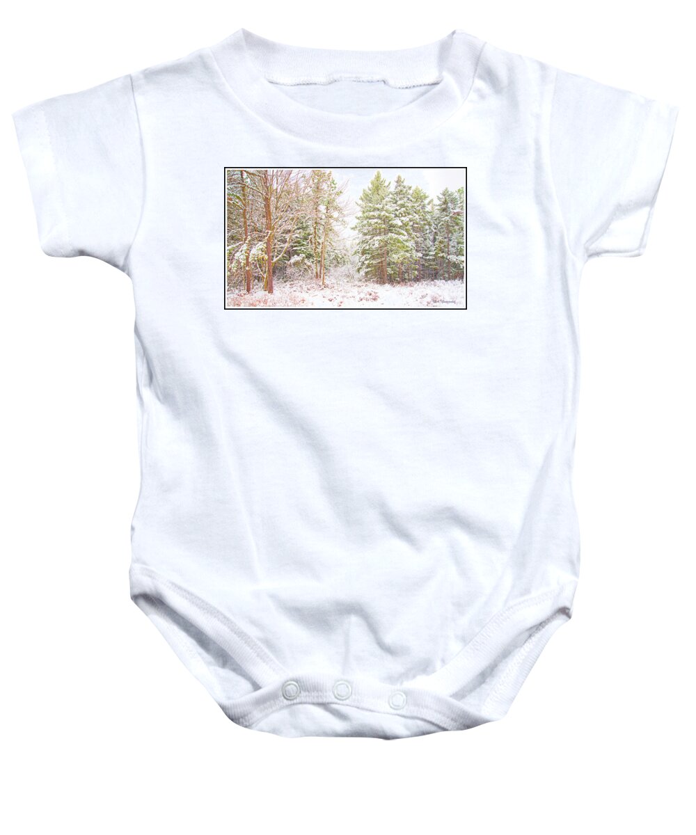 Forest Baby Onesie featuring the photograph Forest Edge in Snow, Pocono Mountains, Pennsylvania #2 by A Macarthur Gurmankin